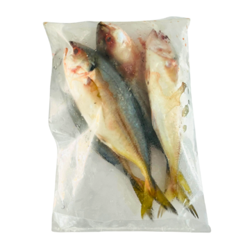 Frozen Yellow Tail Scad Fish (Selar) 1kg - OurLocalMart